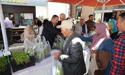 SANDIKLI BELEDİYESİ, 100 BİN ADET ÜCRETSİZ FİDE DAĞITTI