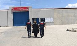 JANDARMA YAĞMACILIKTAN HÜKÜMLÜ ŞAHSI YAKALADI