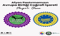 AFYONKARAHİSAR’A MODERN TÜP BEBEK MERKEZİ GELİYOR: AÇILIŞ SONBAHARDA