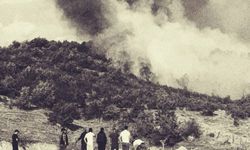 ÇEPNİ KÖYÜ’NDE ORMAN YANGINI