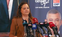 Başkanı Köksal'dan iddialara yanıt: "CHP’liyim, Atatürk Milliyetçisiyim; Gerisi Vız Gelir, Tırıs Gider"