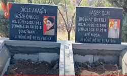 Milletvekili Olgun, “Bu tablo, devlet otoritesinin aşındığının belgesidir!”