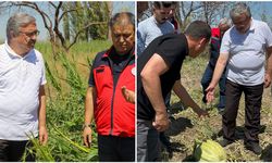 YURDUNUSEVEN ZARAR GÖREN TARIM ARAZİLERİNİ İNCELEDİ