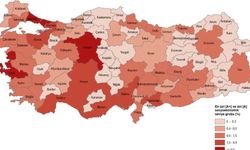 Afyon’da Merkez ve Bazı İlçeler Gelişmiş Durumda, Kırsal Bölgeler Geri Planda.