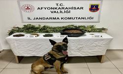 Jandarma’dan Uyuşturucu Operasyonu