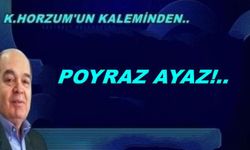 Poyraz Ayaz..