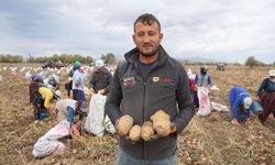 ŞUHUT’TA PATATES HASADINDA SON GÜNLER