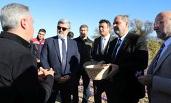 Araştırmalarda Kullanılacak Safranların Hasadı Yapıldı