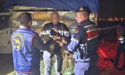 Sandıklı’da Hayvan Hırsızlığından Yakalanan 4 Şahıs Tutuklandı