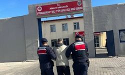 Jandarma Aranan 31 Şahsı Yakaladı