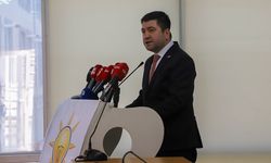 Sevim, “El insaf! Bay Potkıran!, Hiç mi Memleket Sevdanız Yok?”