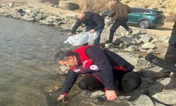 13 İlçede 39 Göl ve Gölete Balık Bırakıldı