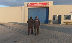 Polis Fetö’den Hükümlü Firari Şahsı Yakaladı