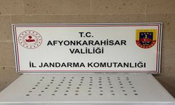 Jandarma, 70 Adet Tarihi Sikke Ele Geçirdi