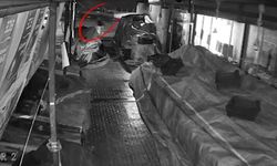 Yakalanan Hırsız Tutuklandı