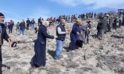 Afşar Köyü’nde 32. Ağaç Bayramı Heyecanı