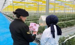 Jandarma Sandıklı’da Vatandaşlara KADES’i Anlattı