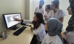 AFSÜ’de Diş dolgusu işlemlerinde yüzde 250, kanal tedavisinde yüzde 60 artış!
