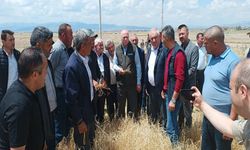 Bayraktar, “Çiftçilerimizin Gelirleri de Yok Oluyor”