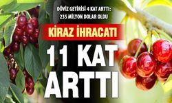 Kiraz ihracatı miktarda 11 kat, dövizde 4 kat arttı
