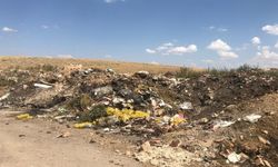 Bolvadin’de Rahatsız Edici Görüntüler