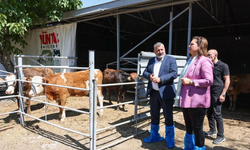 Başkan Köksal YÜNTAŞ Besi Çiftliği’ni inceledi
