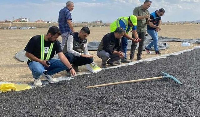 EMİRDAĞ’DA AYÇİÇEĞİ HASADINA BAŞLADI.