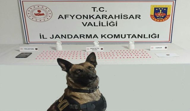 JANDARMA UYUŞTURUCU ELE GEÇİRDİ
