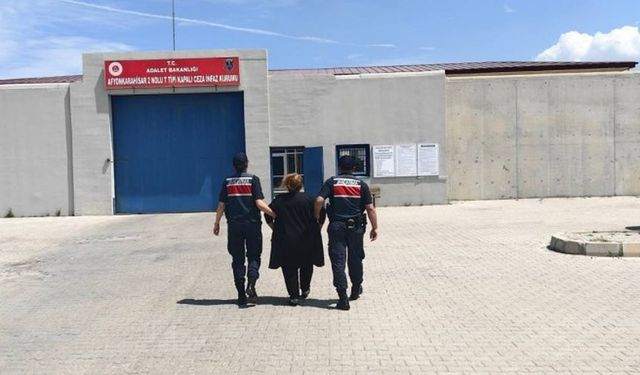 JANDARMA YAĞMACILIKTAN HÜKÜMLÜ ŞAHSI YAKALADI