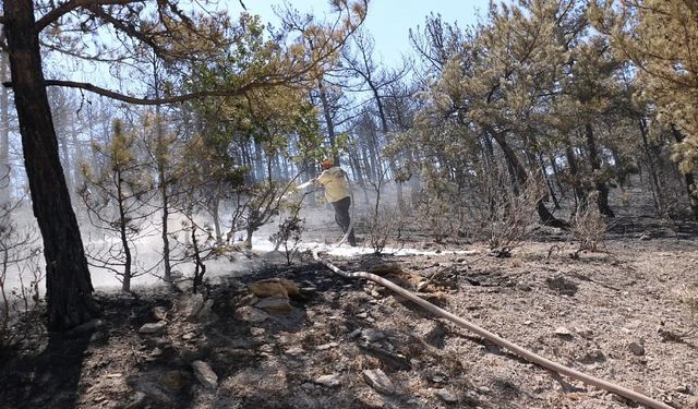 YANGIN BÖLGESİNDE SOĞUTMA ÇALIŞMALARI SÜRÜYOR