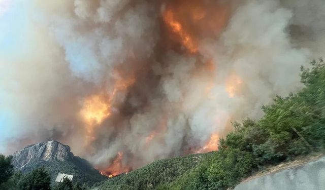 VALİLİKTEN AÇIKLAMA; YANGIN KONTROL ALTINA ALINDI