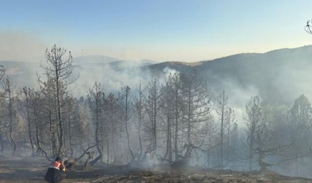 ÇEPNİ ORMAN YANGINI KONTROL ALTINA ALINDI