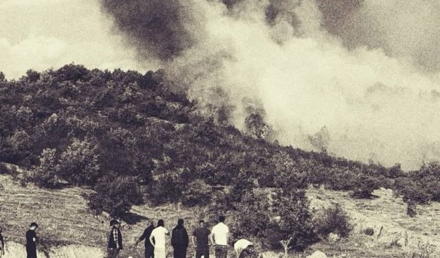 ÇEPNİ KÖYÜ’NDE ORMAN YANGINI