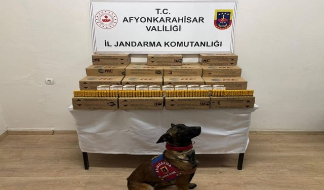 Jandarma 10.000 Adet Kaçak Av Tüfeği Fişeği Ele Geçirdi