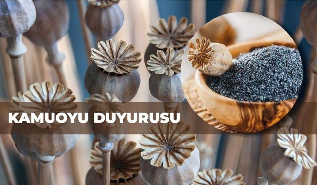 Toprak Mahsülleri Ofisi’nden Açıklama