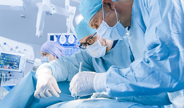 Bağışlanan Her Organ Yaşama Tutunan Bir İnsan