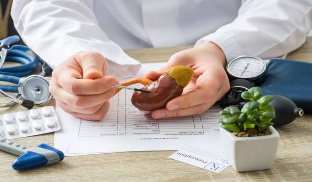 Sorunları Erken Tespit Edin, Böbrek Sağlığınızı Koruyun