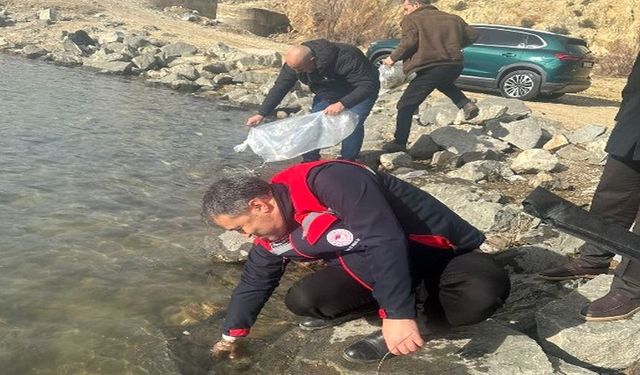 13 İlçede 39 Göl ve Gölete Balık Bırakıldı
