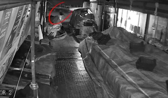 Yakalanan Hırsız Tutuklandı