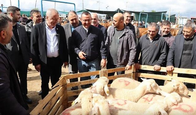 Milletvekili Olgun, Çayırbağ Hayvan Pazarında