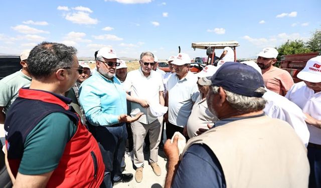 TMO Genel Müdürü Ahmet Güldal İle Afyonkarahisar'da Hasat ve Alım Süreçleri Yerinde İncelendi