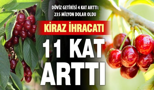 Kiraz ihracatı miktarda 11 kat, dövizde 4 kat arttı