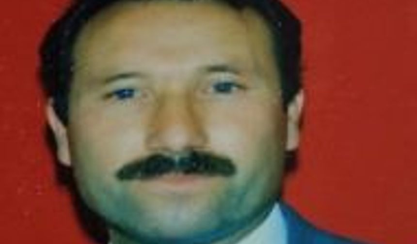 TEK DÜNYA DEVLETİ