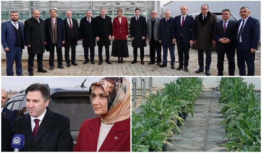 BAĞCI, BOLVADİN’DE KENEVİR EKİM ALANINI İNCELEDİ