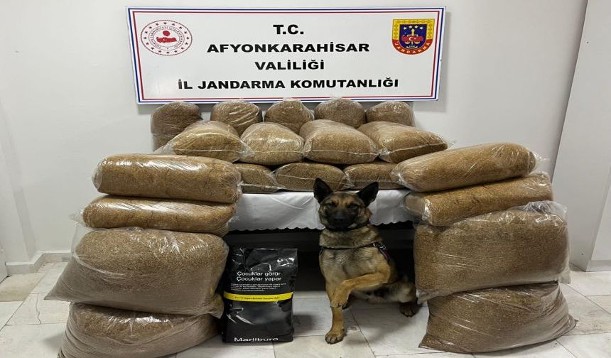 JANDARMA KAÇAK TÜTÜN ELE GEÇİRDİ