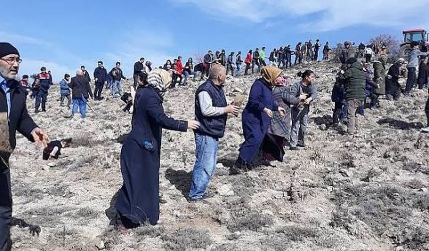 Afşar Köyü’nde 32. Ağaç Bayramı Heyecanı