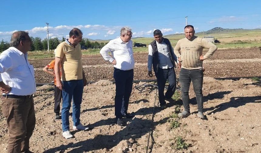Demirkırkan, “Geçmiş Olsun” Yetmez; Tarlamız Yanmış, Devlet Nerede?”