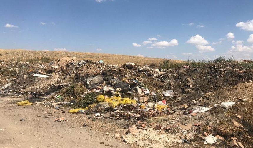 Bolvadin’de Rahatsız Edici Görüntüler