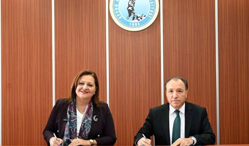 Sahipsiz Hayvanların Tedavileri Kocatepe Hayvan Hastanesinde Yapılacak